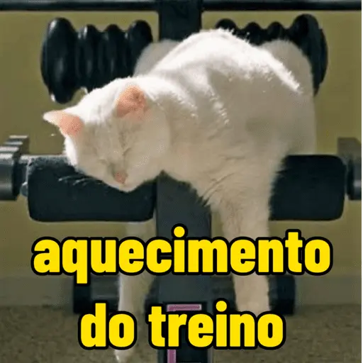 memes de academia