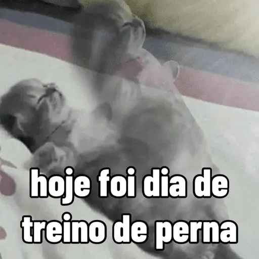 memes de academia