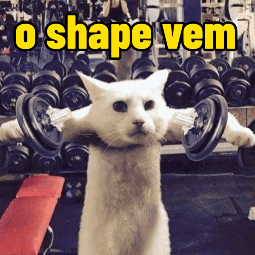 memes de academia preview