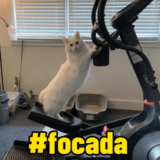 memes de academia