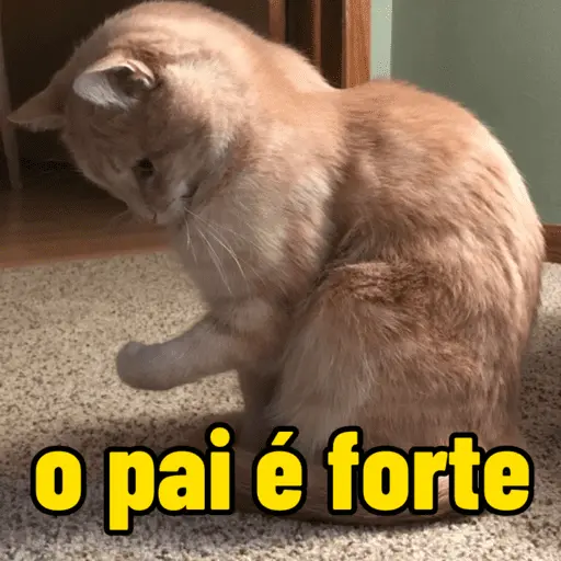 memes de academia