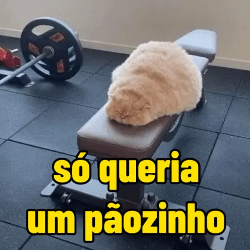 memes de academia