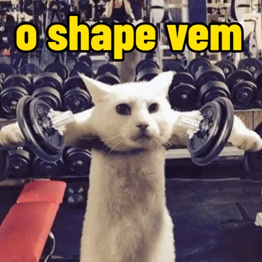memes de academia