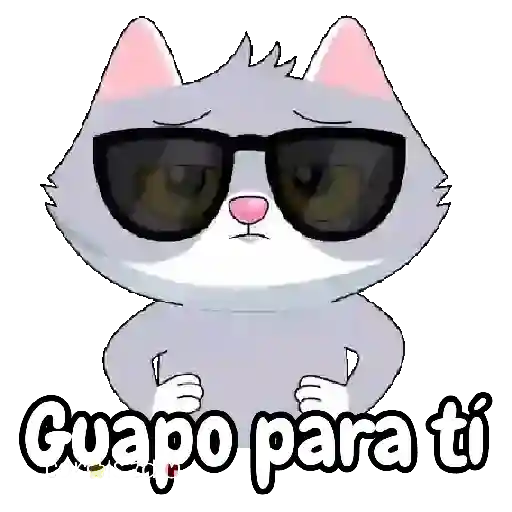😸 Gatos para contestar 📲