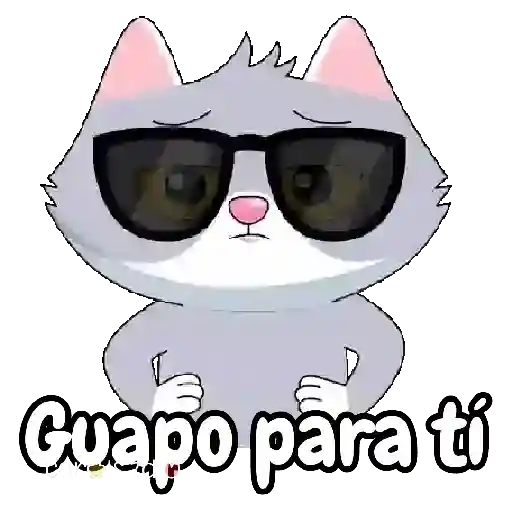 😸 Gatos para contestar 📲 preview