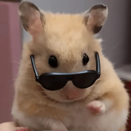 Animales random 2