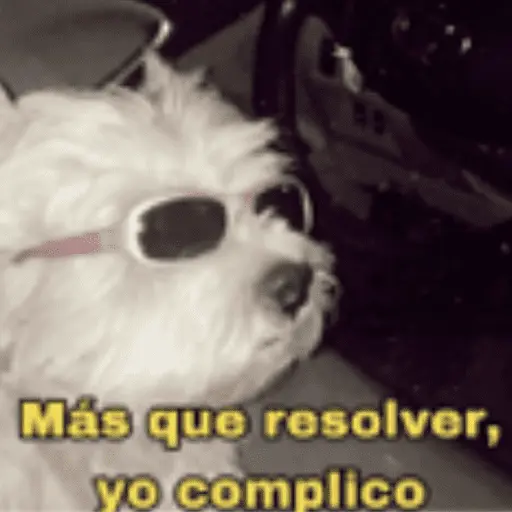 Animales cura depresión🦦