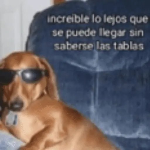 Animales cura depresión🦦