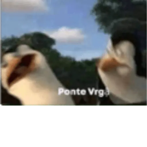 Animales cura depresión🦦