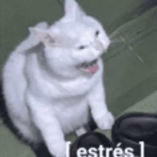 Animales cura depresión🦦