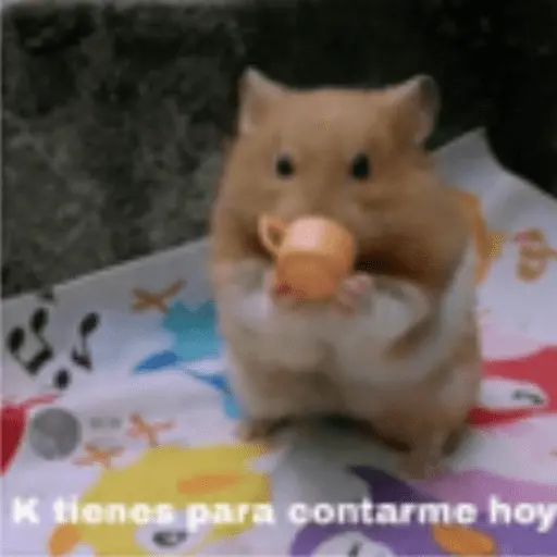 Animales cura depresión🦦