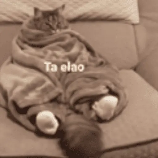 Animales cura depresión🦦