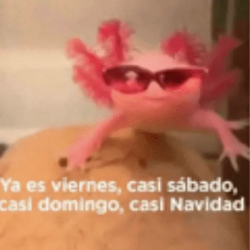 Animales cura depresión🦦