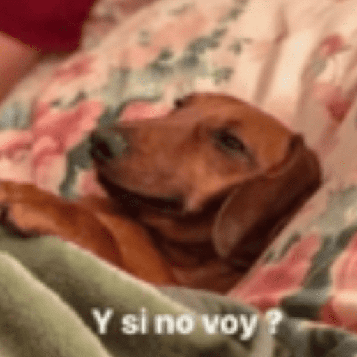 Animales cura depresión🦦 preview