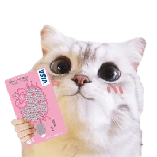 Michis random🐈🐈‍⬛