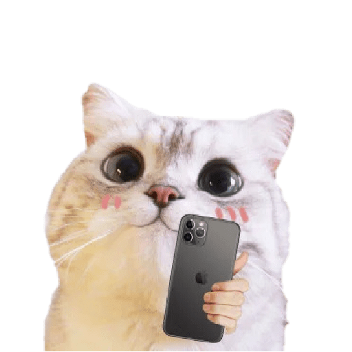 Michis random🐈🐈‍⬛ preview