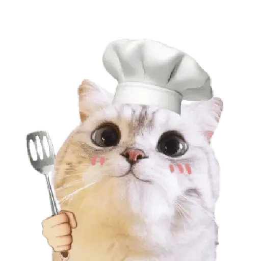 Michis random🐈🐈‍⬛