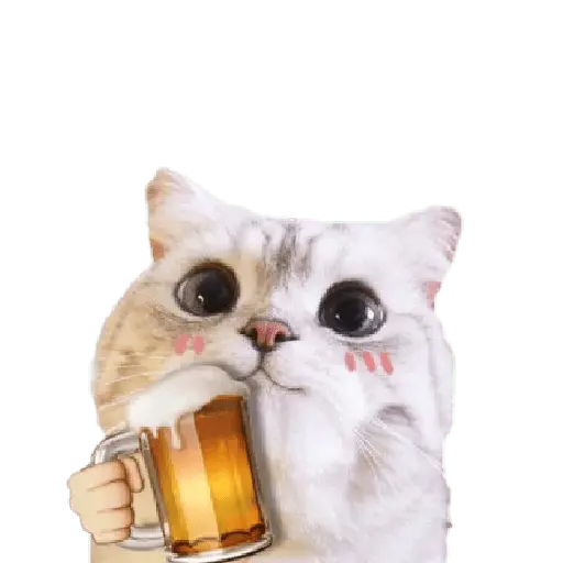 Michis random🐈🐈‍⬛