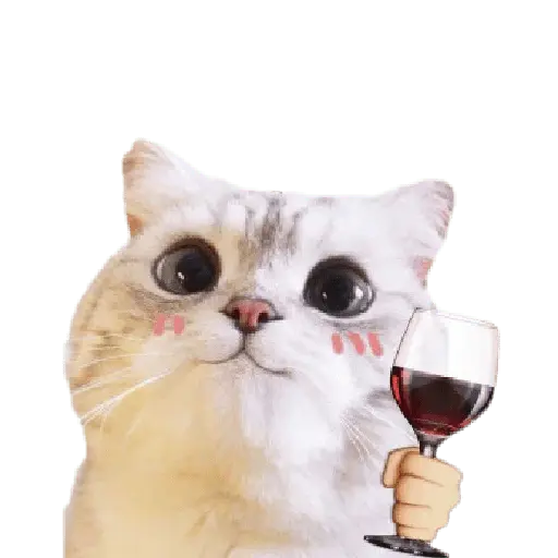 Michis random🐈🐈‍⬛