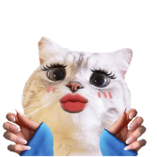 Michis random🐈🐈‍⬛ preview