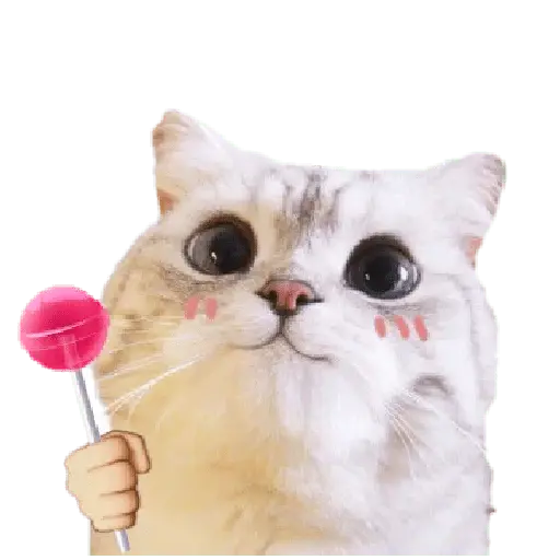 Michis random🐈🐈‍⬛