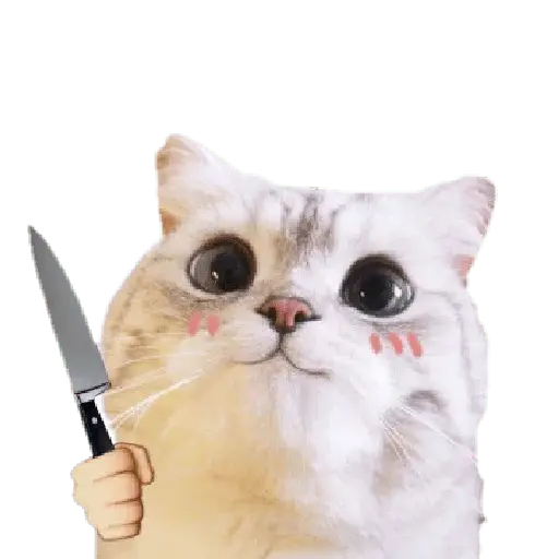 Michis random🐈🐈‍⬛