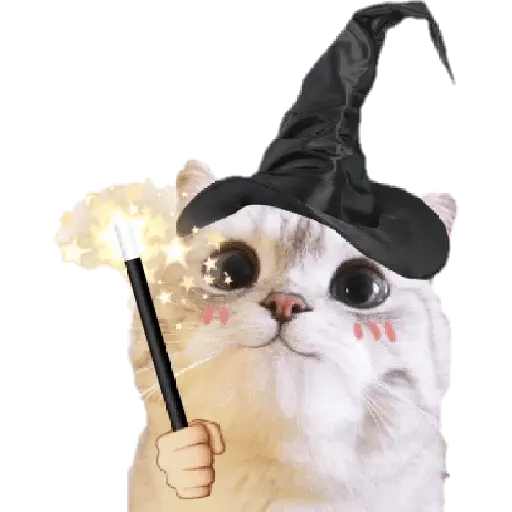Michis random🐈🐈‍⬛
