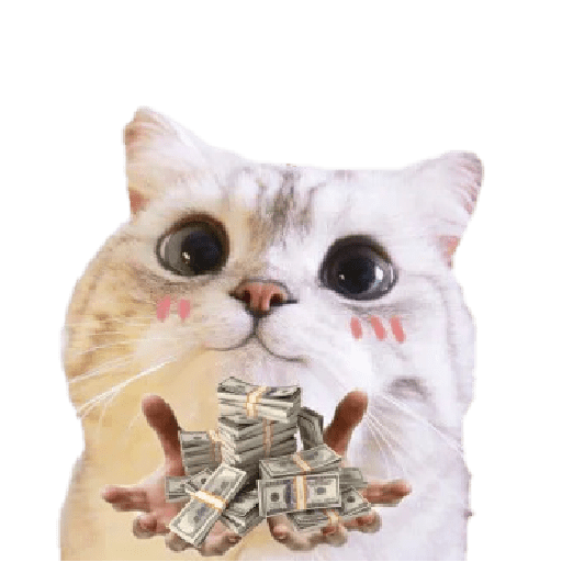 Michis random🐈🐈‍⬛ preview