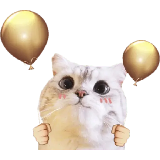 Michis random🐈🐈‍⬛
