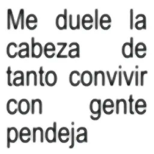 Randoms pal grupo 💬