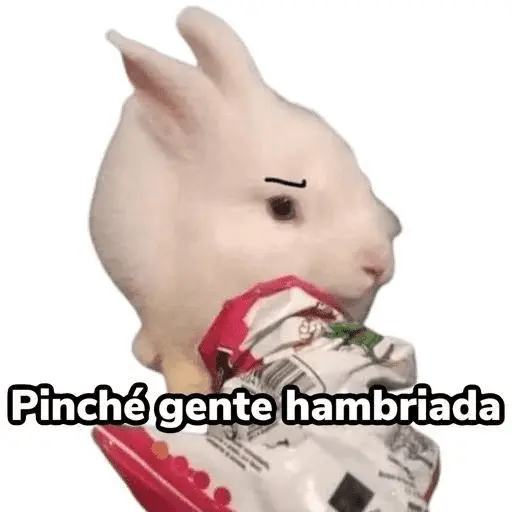 Randoms pal grupo 💬