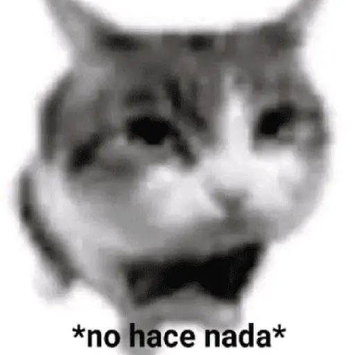 Randoms pal grupo 💬