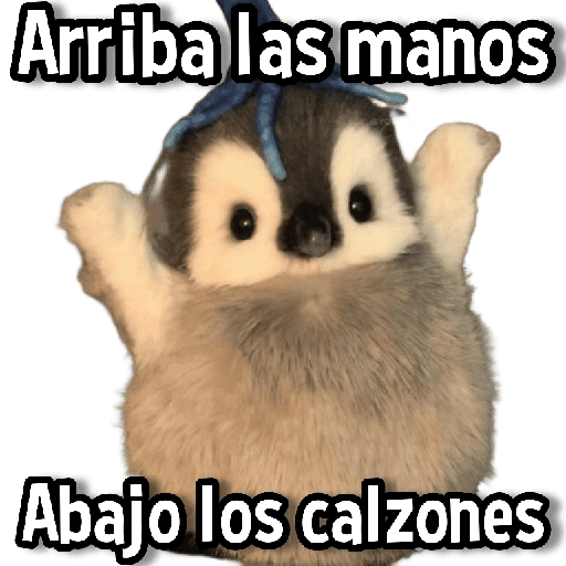 Memes de Animales🌴🍃 preview