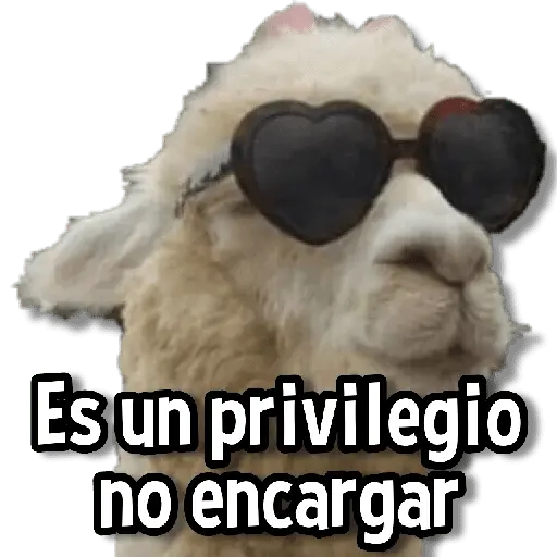 Memes de Animales🌴🍃
