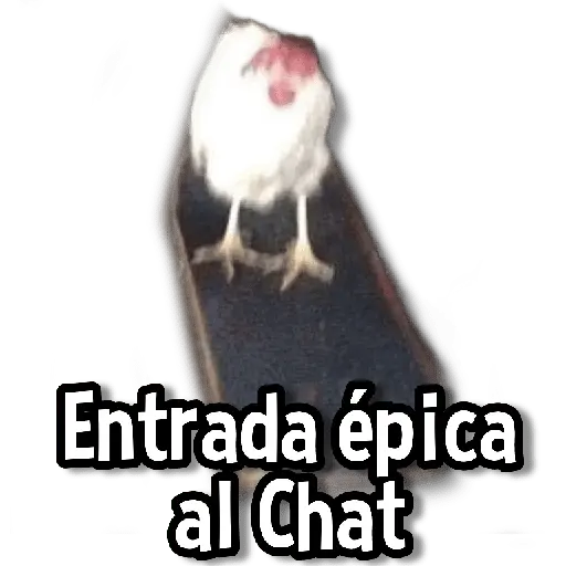Memes de Animales🌴🍃