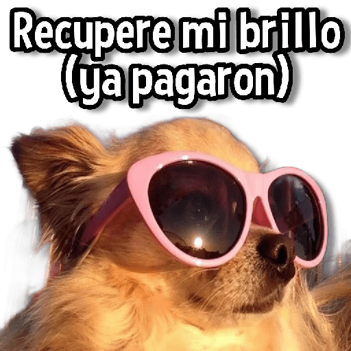 Memes de Animales🌴🍃 preview
