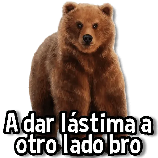 Memes de Animales🌴🍃