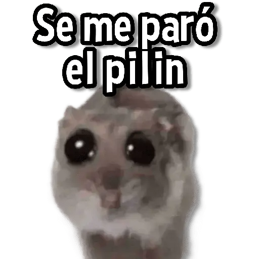 Memes de Animales🌴🍃