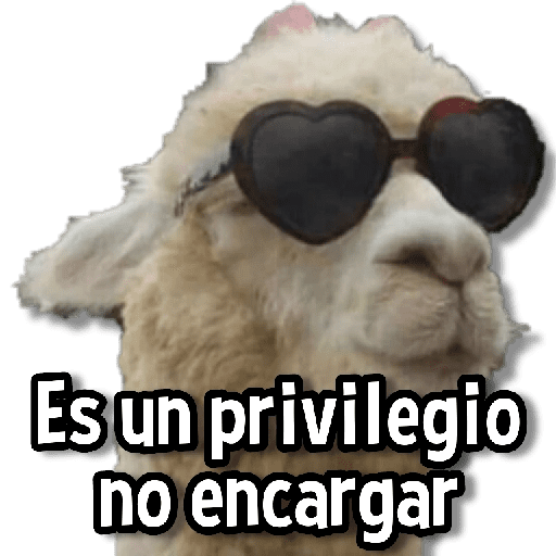 Memes de Animales🌴🍃 preview