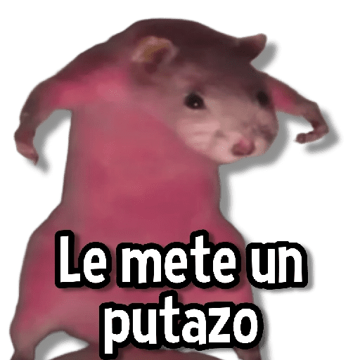 Memes de Animales🌴🍃 preview