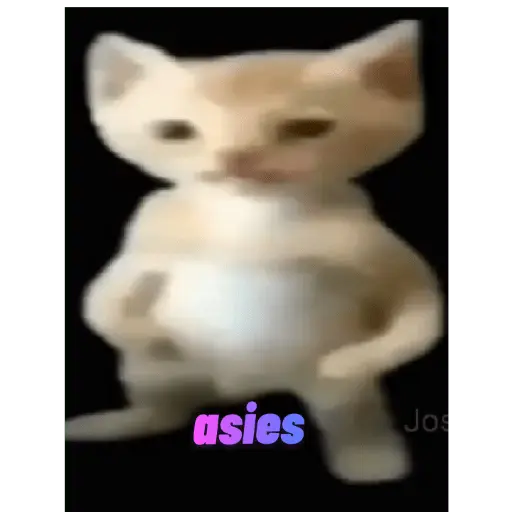 adiós popo