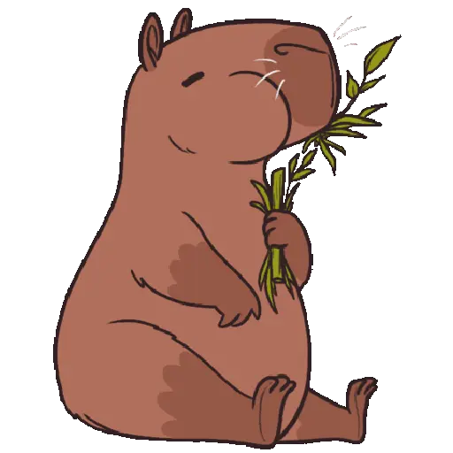 Animales cute random