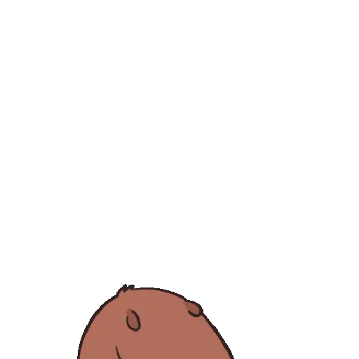 Animales cute random
