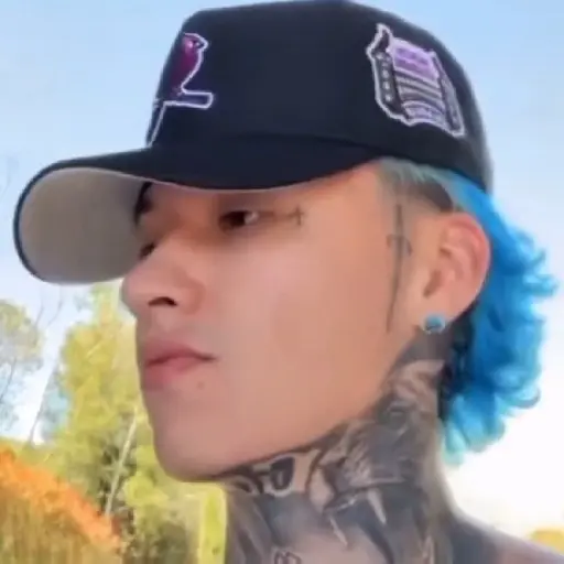 🫟🕴🏻Cambio de Skin TIKTOK🕴🏻🫟