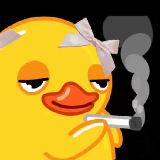 SMOKING RANDOM 🚬