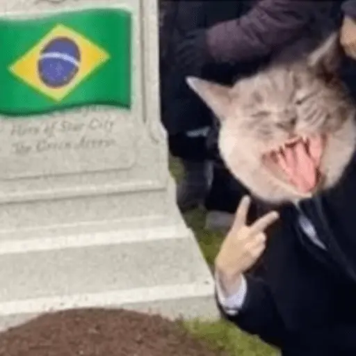 🇦🇷 ARGENTINA VS BRASIL MEMES 🇧🇷