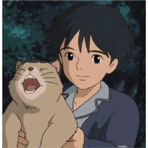Ghibli movies.◞˚✩