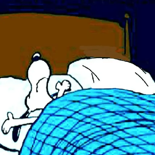 Snoopy Show 5(Cansadito)🐶🤍✨