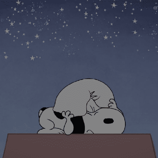 Snoopy Show 5(Cansadito)🐶🤍✨ preview