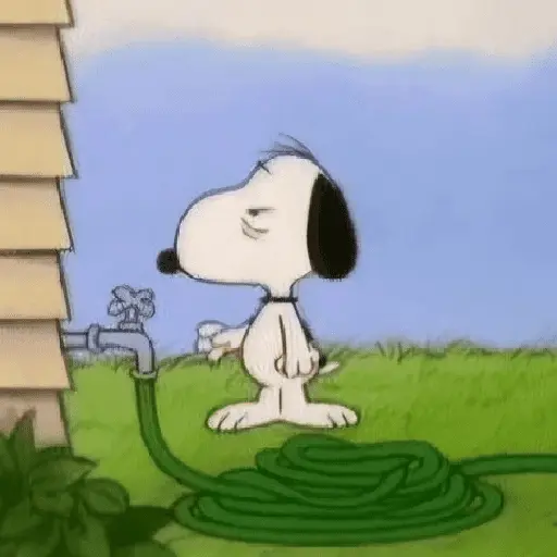 Snoopy Show 5(Cansadito)🐶🤍✨